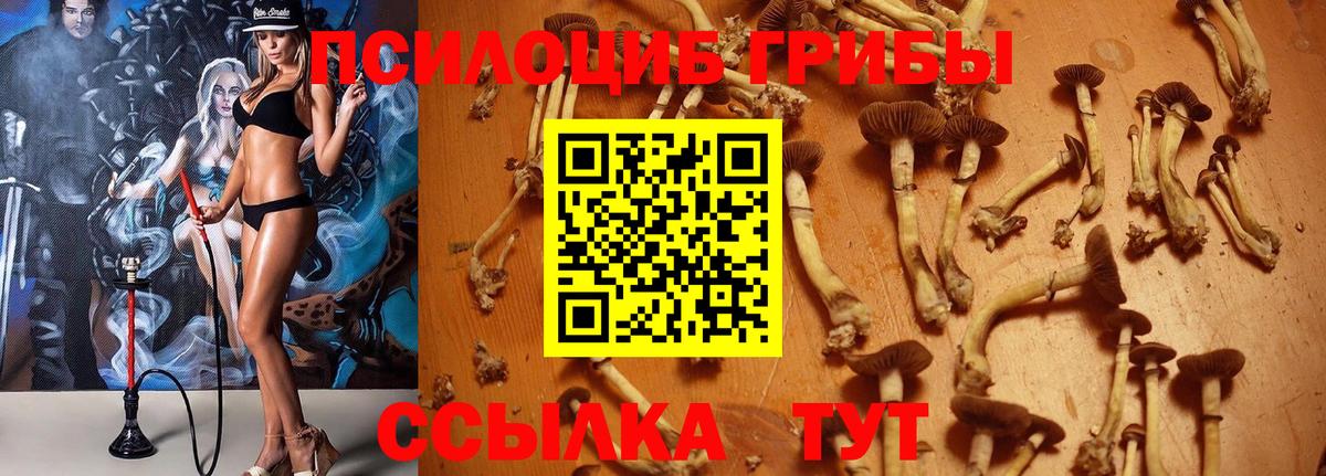 Коломна  Галлюциногенные грибы MAGIC MUSHROOMS  Вход с VPN 